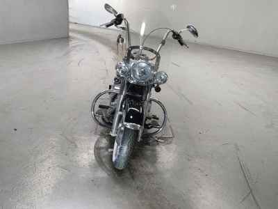 Harley-Davidson Deluxe FLSTN1580 2014