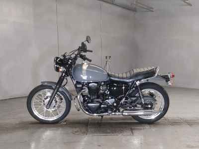 Kawasaki W800 2022
