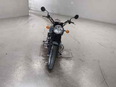 Kawasaki W800 2022