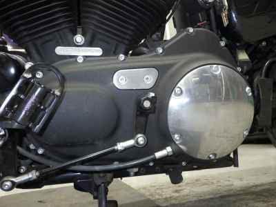 Harley-Davidson Sportster Forty-Eight XL1200X 2017