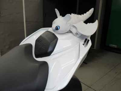 Kawasaki Ninja ZX-10R 2023