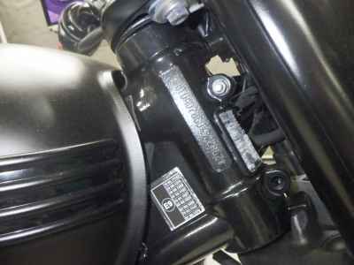 Triumph Bonneville T100 2019