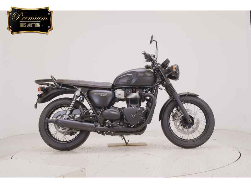 Triumph Bonneville T100 2019