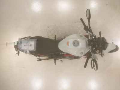 Benelli TNT249S 2022