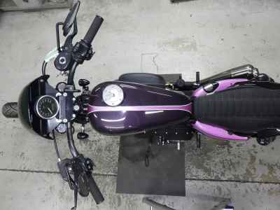 Harley-Davidson Sportster Forty-Eight XL1200X 2010