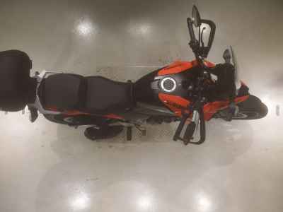 Suzuki V-Strom 250SX