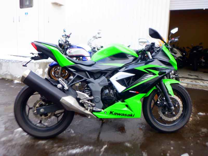 Kawasaki Ninja 250