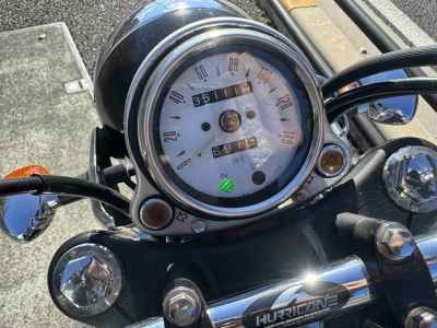 Kawasaki Estrella RS