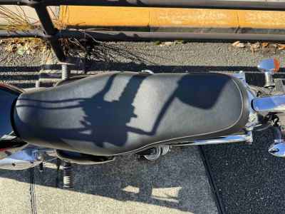 Kawasaki Estrella RS