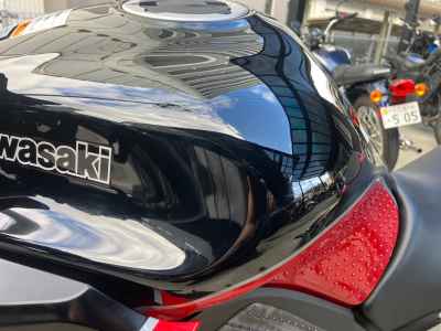 Kawasaki Ninja 1000SX 2024