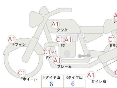 Kawasaki Estrella RS