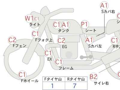 Kawasaki Estrella RS