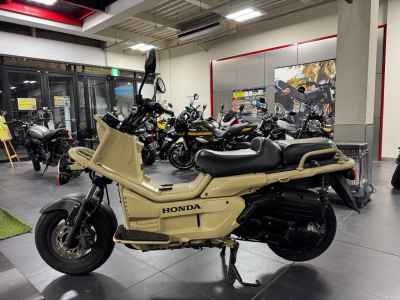 Honda PS250 Big Ruckus 2006