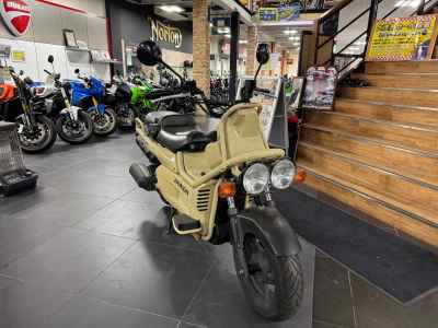 Honda PS250 Big Ruckus 2006