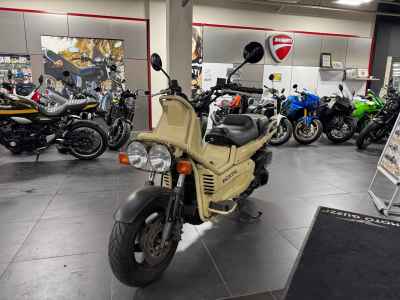 Honda PS250 Big Ruckus 2006