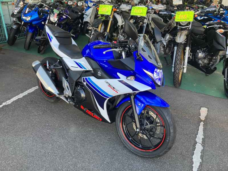 Suzuki GSX250R