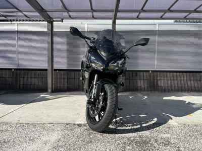 Kawasaki Ninja 1000SX 2024