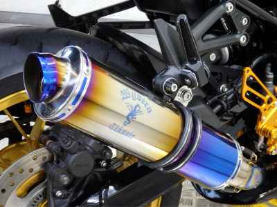 Kawasaki Z900RS 2022