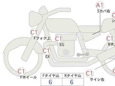 Kawasaki Estrella RS