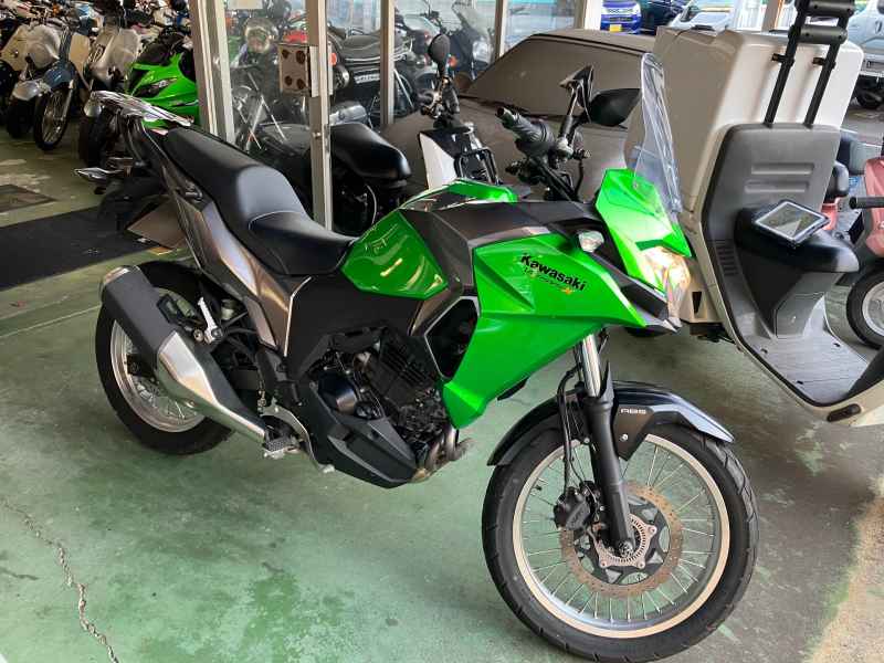 Kawasaki Versys-X 250