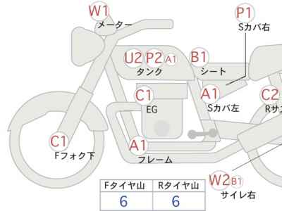Kawasaki Estrella RS