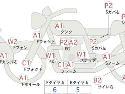 Kawasaki D-Tracker 250 X