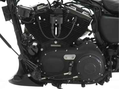 Harley-Davidson ACCESS125 2011