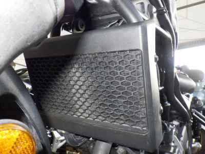 Honda Rebel CMX250 2023