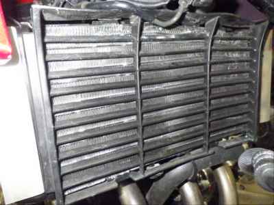 Honda CB400 Super Boldor 2019