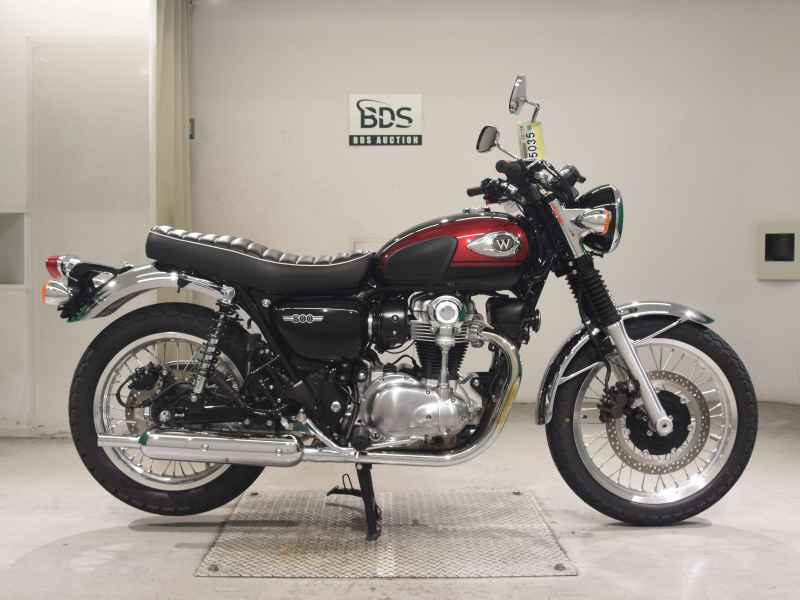 Kawasaki W800 2024