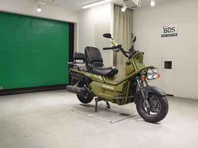 Honda PS250 Big Ruckus 2006