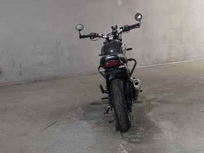 Triumph Speed 400 2024