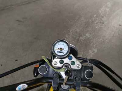 Suzuki GrassTracker Bigboy