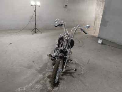 Harley-Davidson Springer Softail FXSTS1450 2005