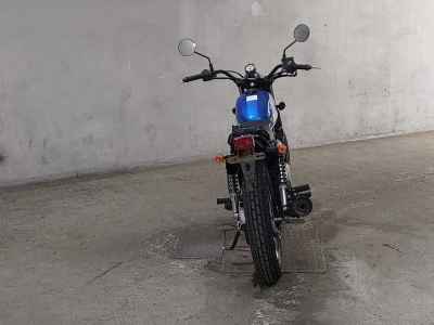 Suzuki GrassTracker Bigboy