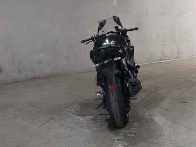 Kawasaki Ninja 1000SX