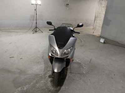 Honda Forza Z 2006