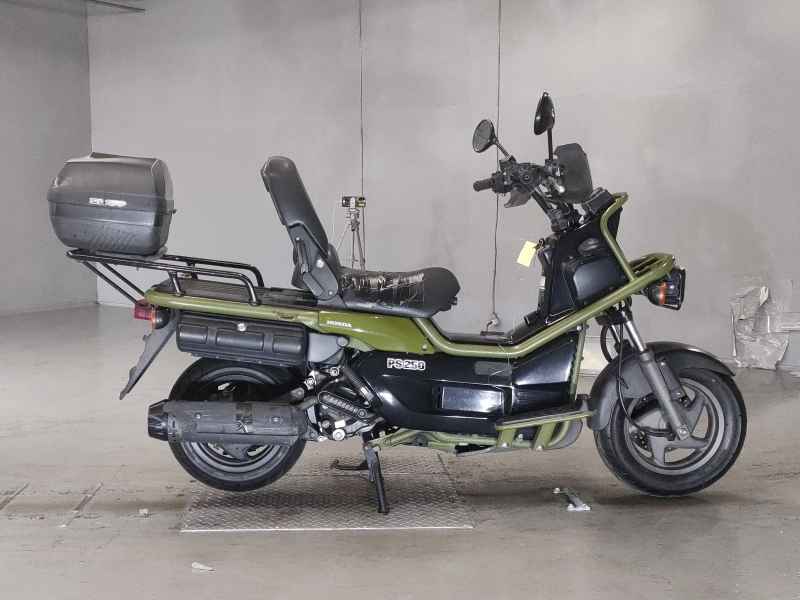 Honda PS250 Big Ruckus