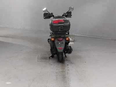 Honda PS250 Big Ruckus