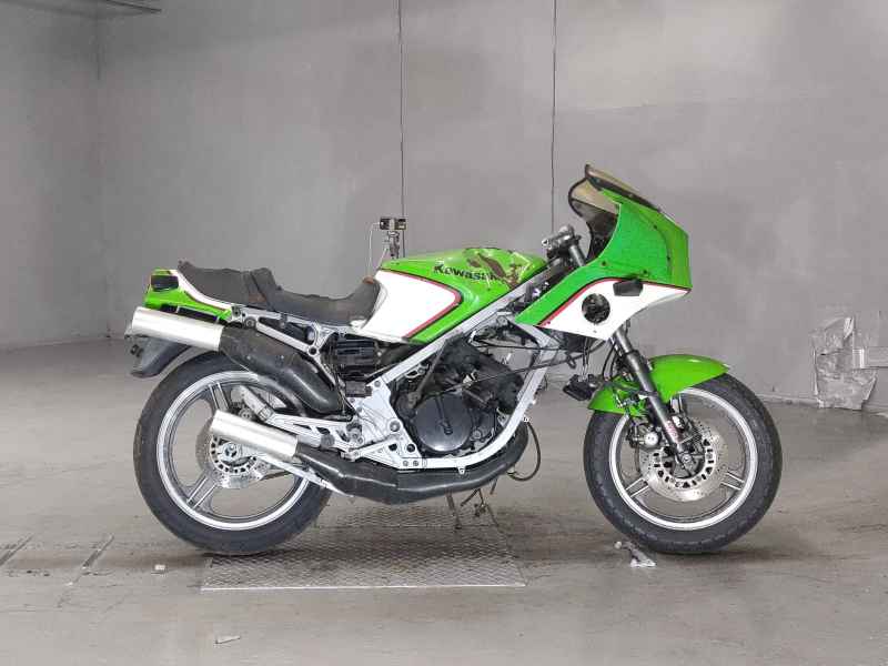 Kawasaki KR250