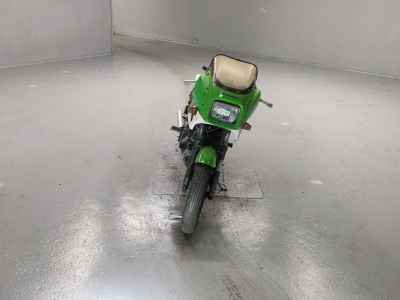 Kawasaki KR250