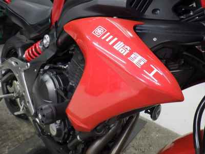 Kawasaki ER-6N 2013