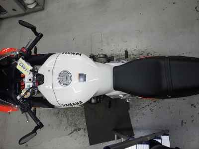 Yamaha XSR900 GP 2024