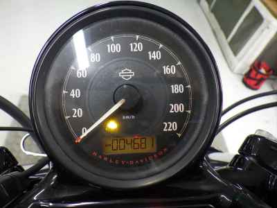 Harley-Davidson Sportster Forty-Eight XL1200X 2019