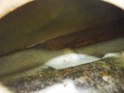 Kawasaki Z1 900 Super Four 2025