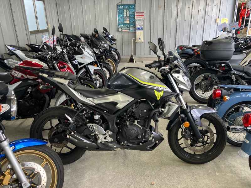 Yamaha MT-25