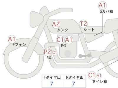 Kawasaki Estrella RS
