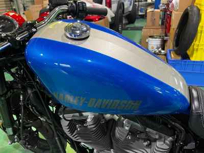 Harley-Davidson Roadster XL1200CX 2019