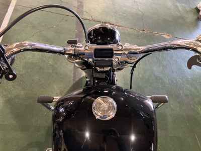 Harley-Davidson FXST 2022