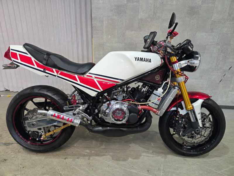 Yamaha RZ250R